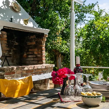 Holiday home Amigdalia