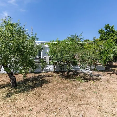 Holiday home Amigdalia
